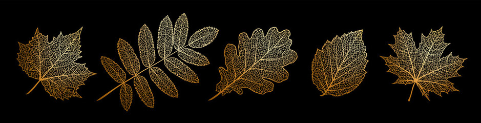 Wall Mural - set of vector texture leaves. silhouette of plants. gold natural elements for seasonal backgrounds, 