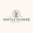 Wattle Flower Botanical Nature Logotype Vintage Hipster Illustration Icon Template 