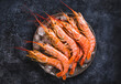 © travelbook - Wild red shrimps, ocean raw jumbo shrimps on dark background copy space.