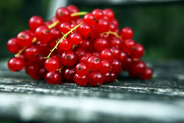 Wall Mural - Fresh red currants on background. Healthy summer fruits