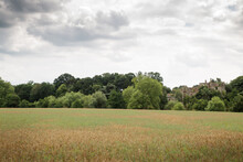 Landscape Image With Guys Cliffe House