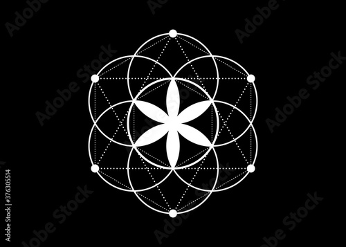 Quadri Fiori In Bianco E Nero Immagini Per Arredo