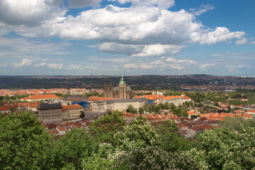 Wall Mural - View of Hradcany in Prague