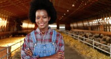 Portrait Of African American Young Woman Shepherd In Motley Shirt Standing In Stable Of Sheep Farm, Crossing Hands, Smiling And Looking At Camera. Female Farmer In Cattle Shed. Dolly Shot.