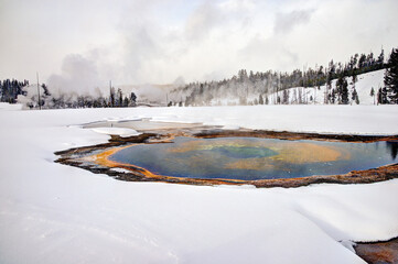 Sticker -  Hot Spring in Yellowstone National Park Wyoming USA Winter