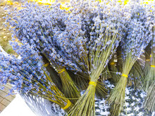 Bunches Of Dried Lavender In Basket. Flower Shop.