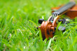 violin on grass