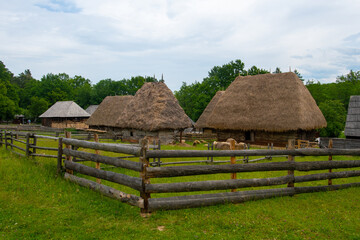 Wall Mural - the clay and straw house in the village