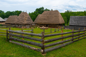 Wall Mural - the clay and straw house in the village