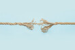 © Pixel-Shot - Frayed rope on color background
