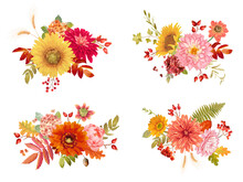 Watercolor Vector Autumn Flowers Bouquets, Orange Hydrangea, Fern, Dahlia, Red Rowan Berry, Sunflower, Fall Leaves Collection. Isolated Floral Colorful Set