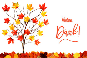 Wall Mural - branches building tree with bright colorful leaf decoration. red and yellow leaves on the ground. ge