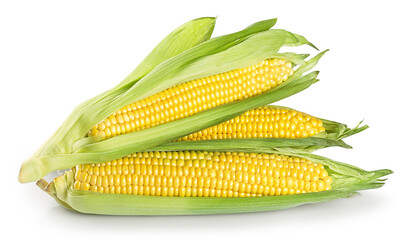 Wall Mural - corn isolated on white background