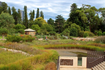 Wall Mural - Adelaide Botanic Garden, Australia