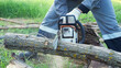 © lenblr - man saws a log with a chainsaw on a background of green grass.