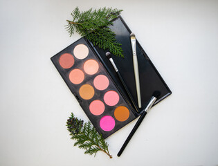 Professional makeup eyeshadow palette closeup. Makeup brushes. Green plant branches. Flatlay. White background.