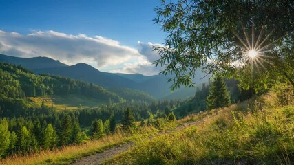 Poster - Green mountains at sunset. Magnificent hiking trails, recreation glades and green trees. Rays of the setting sun break through the foliage of the tree. High quality HDR shot
