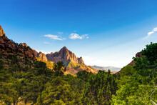 Scenic View In Zion National Park, Utah