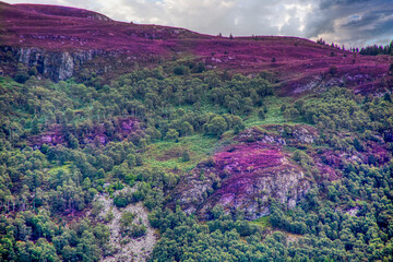 Canvas Print - Schottland