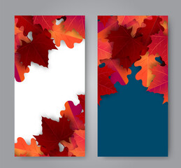 Wall Mural - Autumn maple leaves flyer background. set Fall banner template. Red and orange foliage. Thanksgiving season holiday concept. Realistic 3d vector illustration.