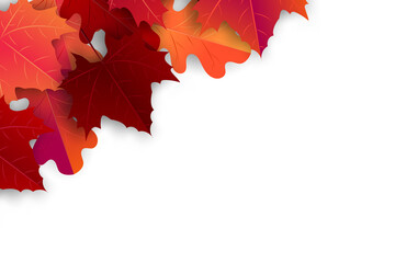 Wall Mural - Autumn maple leaves background. Fall banner template. Red and orange foliage. Thanksgiving season holiday concept. Realistic 3d vector illustration.