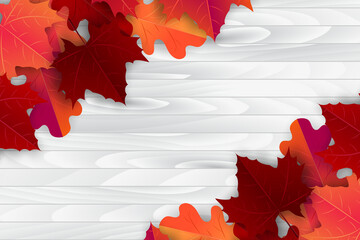Wall Mural - Autumn maple leaves background. Fall banner template. Red and orange foliage on white wooden board planks. Thanksgiving season holiday concept. Realistic 3d vector illustration.