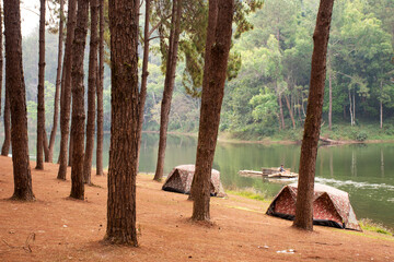 View landscape of Pang Ung pine forest and tent camping while bamboo rafts moving in Pang Oung lake or Switzerland of Thailand in authentic Chinese village Ban Rak Thai in Mae Hong Son, Thailand