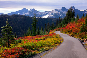 Beautiful autumn colors at Mt. Rainier National Park in Washington state
