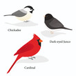 Winter birds: Chickadee, dark-eyed junco, and cardinal