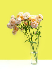 Wall Mural - A bouquet of Pastel pink roses in a transparent glass vase on bright yellow background. Creative greeting card.