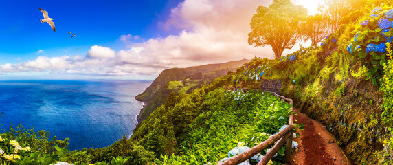 Viewpoint Ponta do Sossego, Sao Miguel Island, Azores, Portugal. View of flowers on a mountain and the ocean in Miradouro da Ponta do Sossego Nordeste, Sao Miguel, Azores, Portugal.