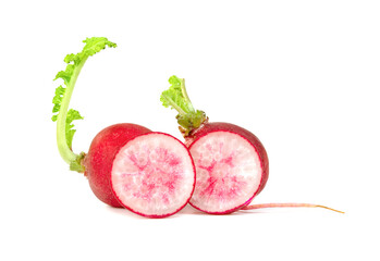 Wall Mural - small red radish isolated on white background