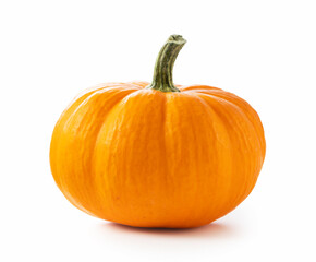 pumpkin on a white background