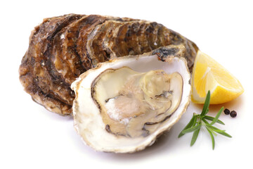 Canvas Print - Oysters on a white background with lemon