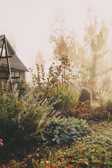 fog in early morning in late autumn or winter garden. Frosty beautiful rural view with pathway, lawn and plants.