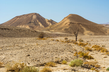 Canvas Print - Stone desert in Israel.