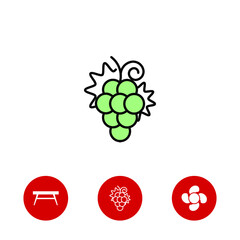 Wall Mural - grape icon and three bonus icons on white background, vector