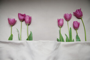 NEWBORN DIGITAL BACKGROUND flowers