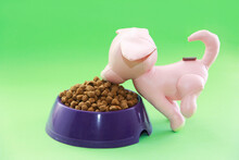 Dry Pet Food And Pink A Dog Toy