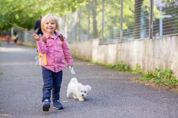 Sticker - Child, cute boy, playing with dog pet in the park, maltese dog and kid enjoying friendship