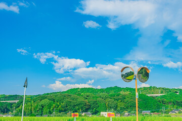 田舎の横断歩道とカーブミラー