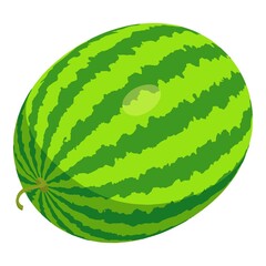 Poster - Whole watermelon icon. Isometric of whole watermelon vector icon for web design isolated on white background