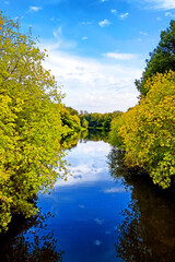 Wall Mural - Golden autumn landscape in Moscow Russia. Yellow forest and blue sky with clouds reflection on water. Pond in park. Rural landscape in central european russia. Russian countryside. Vertical view