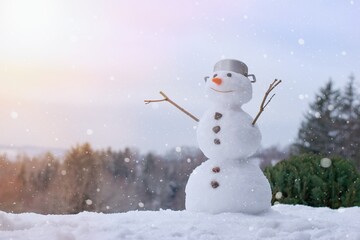 Lovely smiling snowman in the winter garden