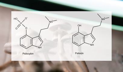 the medical effects of psilocybin and psilocin on the psycholog