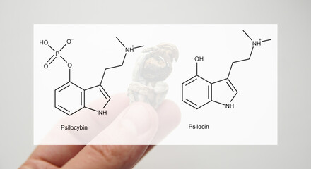 Wall Mural - the medical effects of psilocybin and psilocin on the psycholog