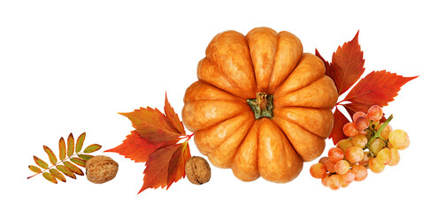 Wall Mural - large round pumpkinautumn arrangement with pumpkin, grapes, nuts and colorful leaves isolated on whi