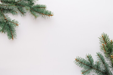 Christmas fresh spruce branch on a white background. minimalistic concept. Flat lay, top view, where you want to copy