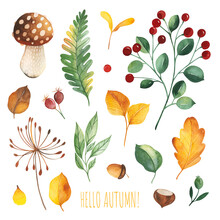 Watercolor Autumn Set With Leaves,mushrooms,berries,branches,oak Leaf,nuts,acorns,flowers And More. Perfect For Wallpapers,stickers,scrapbooking,invitations,print
