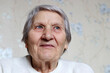 © Oleg - Elderly woman with peaceful expression thought about something. Happy female with gray hair and wrinkled skin, concept of memories and old age